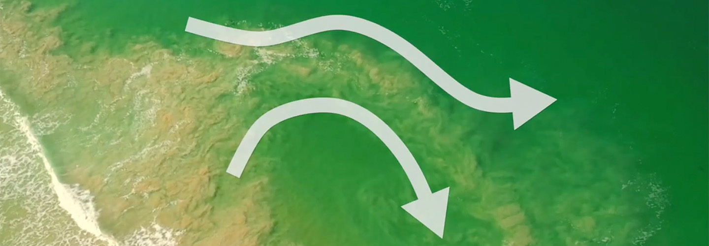 Understanding the Hidden Dangers of Rip Currents | NSRI