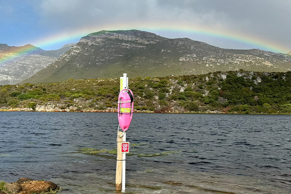 Banner Pink Buoy 02
