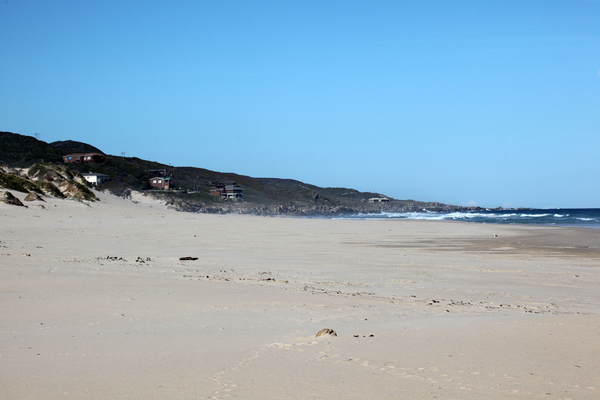 Oysterbay 009