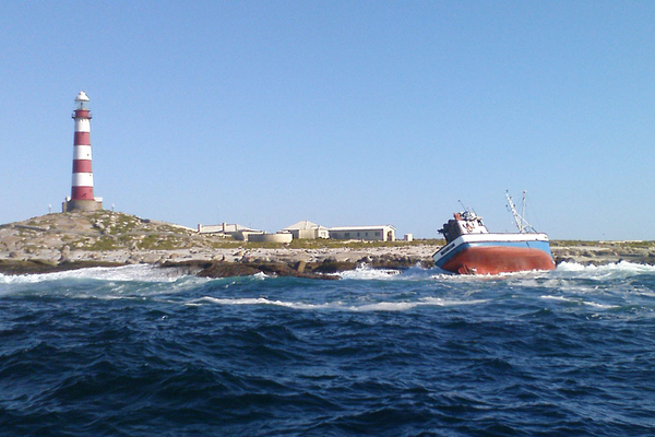 34 Dassen 823