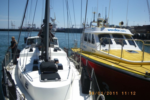 Harlequin table bay517