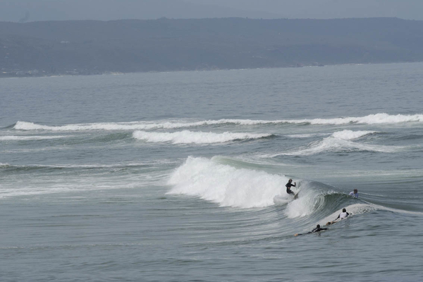 Plett 1183