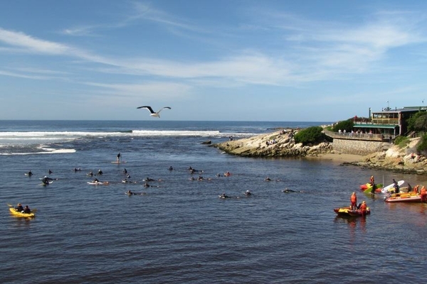 NSRI1