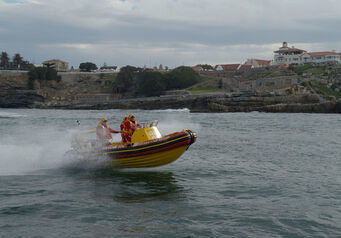 Hermanus 0640