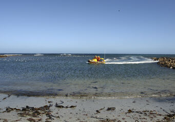Kommetjie 053