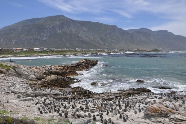 Bettys Bay