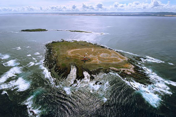 Bird Island1