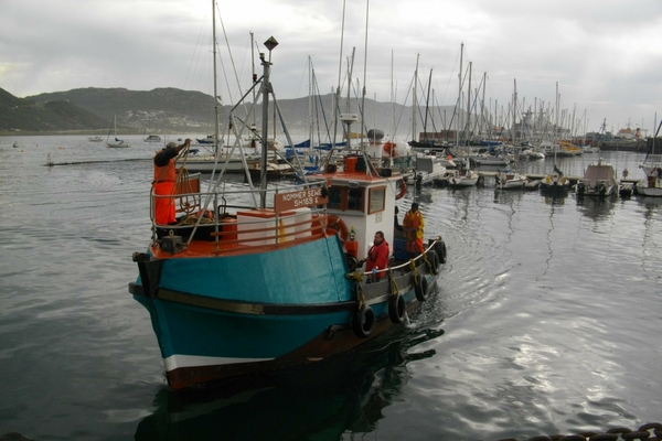 Imgp2206
