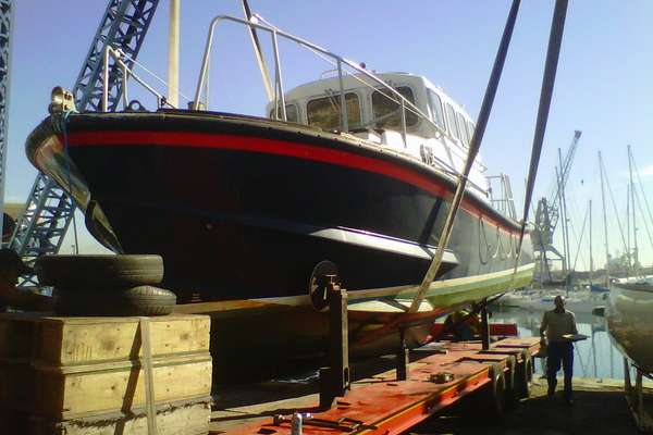 Lyonesse mossel 00237