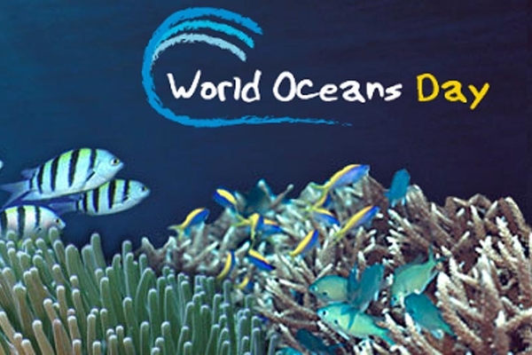 World oceans day