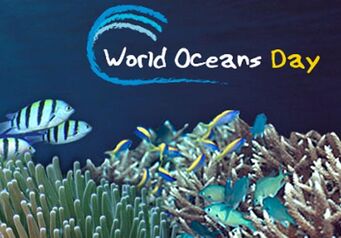 World oceans day