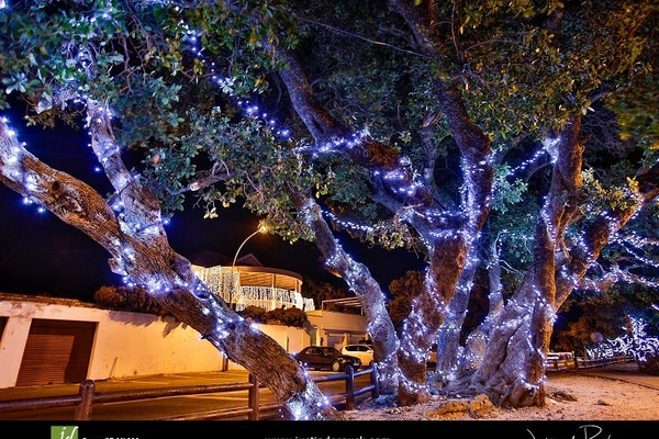 Winter Wonderland pic justin de reuck