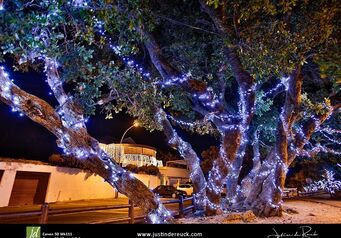 Winter Wonderland pic justin de reuck