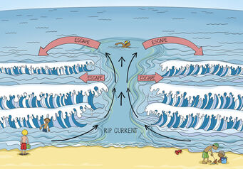 Ripcurrent colour A41 1