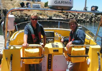 Plett 117