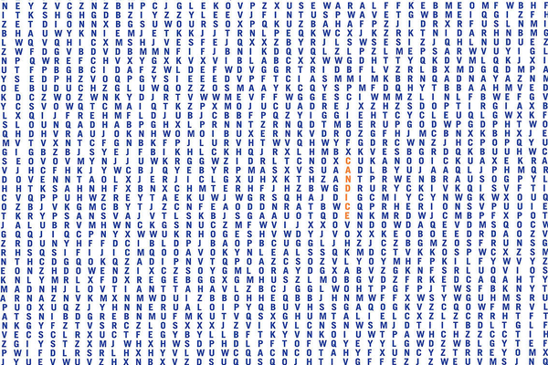 62751 Word Search portrait