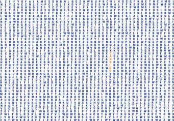 62751 Word Search portrait