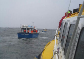 Hermanus1 2