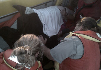 IMG 20140309 00695