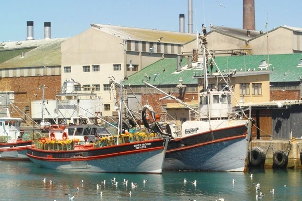 Lamberts bay harbour