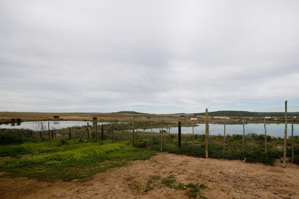 Dams surrounding De Jagers Primary According to the Principal they have had a number of drownings in these dams