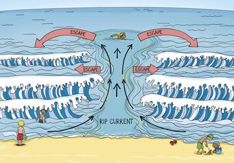 Ripcurrent NSRI A4 2