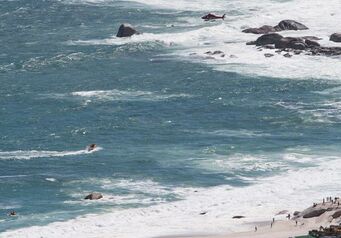 Twitter Camps Bay Watch