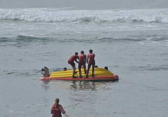 Shelly beach 0964a