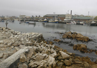 Lamberts Bay
