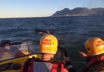 SAWDN release Simons Town65