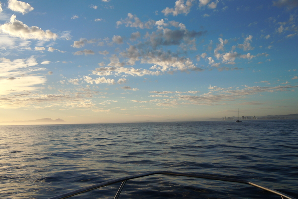 DSCN0846
