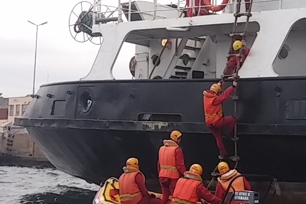 Boarding from 4 7m