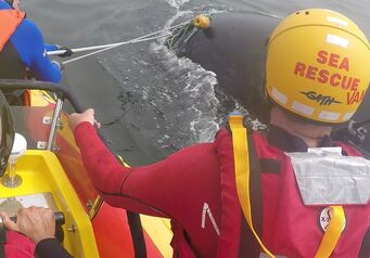 T Bwhale 01 102a