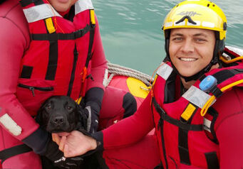 Dog Rescue 01