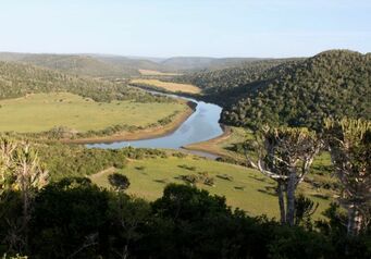 Mansfieldgamereserve 13469 8955