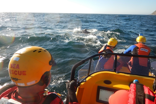 Whale disentanglement 1 26 08 16