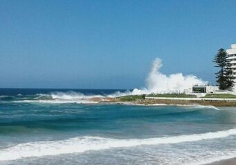 Plett Rocks