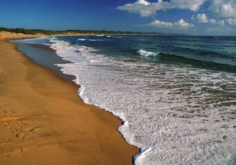 Sodwana Beach