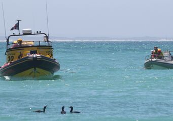 Boat assisted Struisbaai