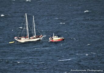 Sea recue 3