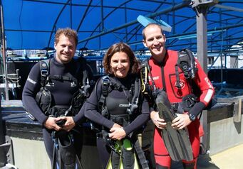 Diver24 1 750 500 70
