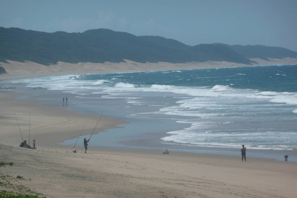 Capevidal33 1