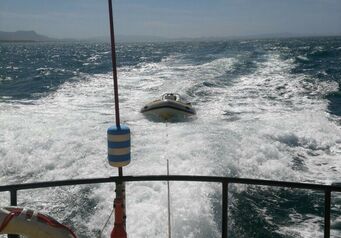 Hermanus pic