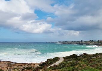 Cliff path hermanus 1