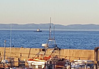 IMG 20180505 WA0022