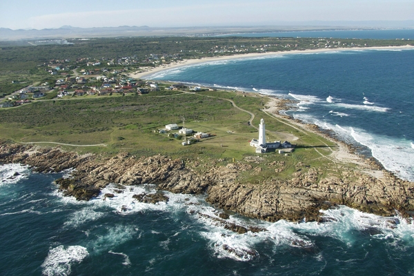 2024 01 16 St Francis Seal Point