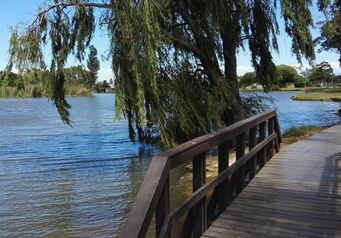 Dam Park Craig Lotter