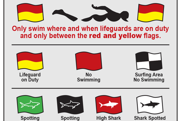 Beach Flags 2017