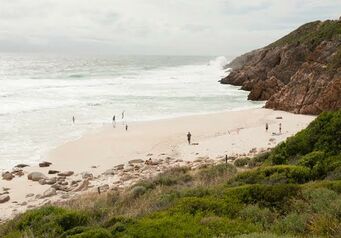 Images 9