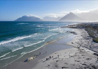 Whats App Image 2020 08 10 at 14 33 30
